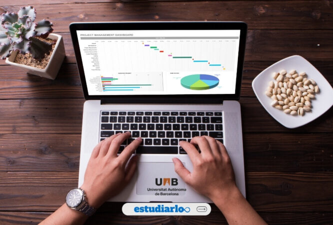 Curso de Excel gratis – Universitat Autònoma de Barcelona - Estudiarlo
